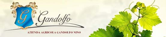 Azienda Agricola Gandolfo, Salemi